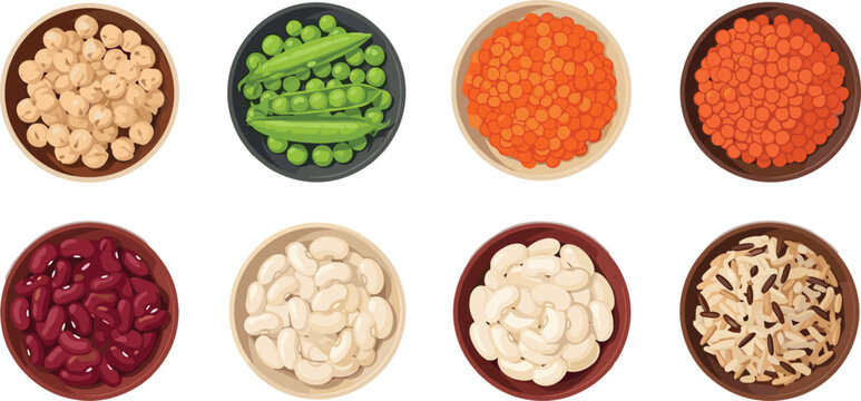 Professional top-down illustration set featuring bowls of chickpeas, green peas, lentils, kidney beans, white beans, and wild rice for healthy nutrition and culinary design