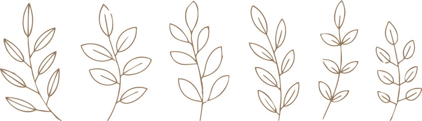 Obraz premium leaf branch outline drawings six botanical elements for design