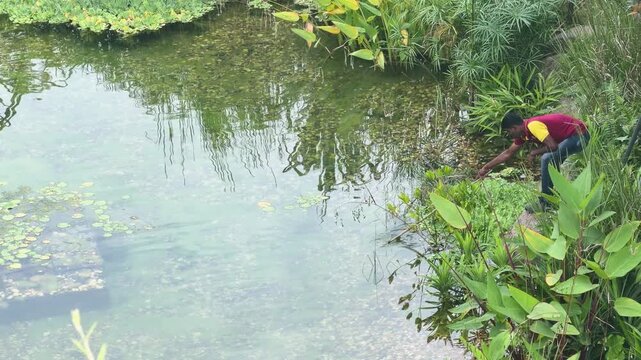 Maintenance Worker Cleaning Pond in Tropical Garden Environment in Singapore