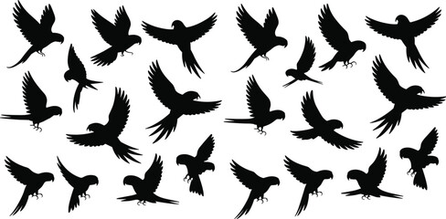 Black parrot silhouette collection, flying macaw and tropical bird vector set, exotic jungle wildlife, cad drawing flat vector illustration, nature, animal, avian, © Shahin