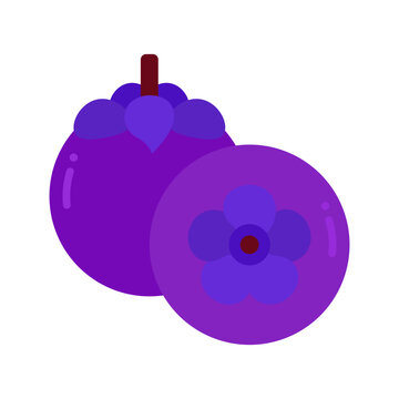 Purple Mangosteen Fruit with White Flesh Vector Asset