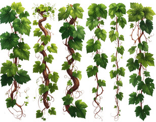 Firefly_Chic wicker hanging egg chair with cozy white cushions showcased against a transparen - Firefly_collection of vines isolated on a transparent background, (2)