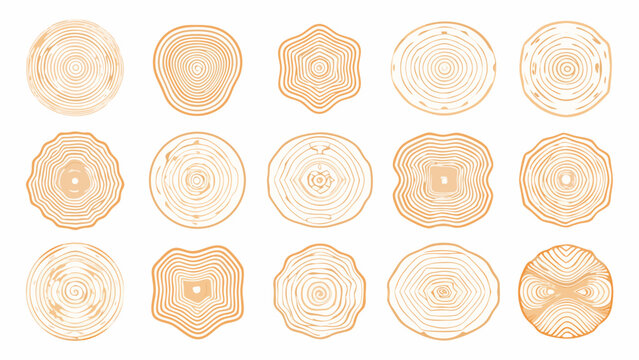Collection of orange tree rings in various shapes and sizes