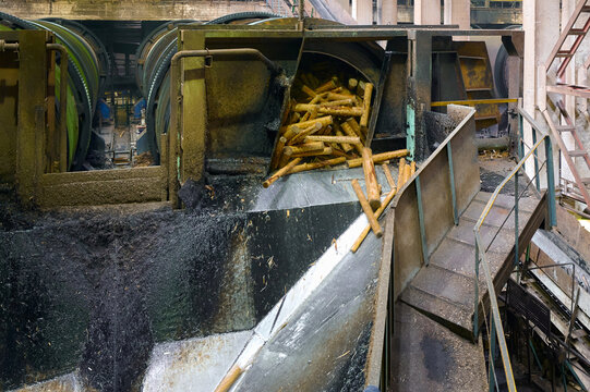 Drum debarker processing logs at a wood processing facility in a busy industrial setting