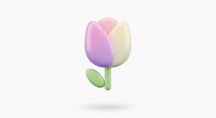 Fototapeta premium Multi colored tulip flower with green stem and leaves isolated on white background