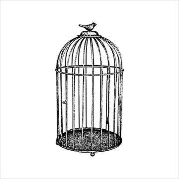 Hand drawn vintage birdcage illustration