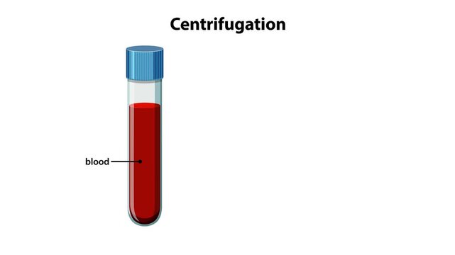 Medical Animation of Blood Centrifugation Process and Component Separation
