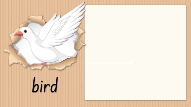 Educational Alphabet Animation for Letter B with White Bird Illustration