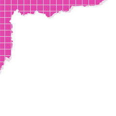 Obraz premium Pink Torn Paper Grid Border