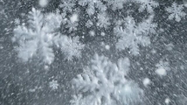 Extreme close-up shot of delicate snowflakes falling against a dark background with a shallow depth of field.