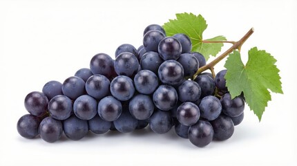fresh dark purple grape bunch with leaves isolated on white background