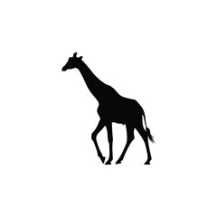 Fototapeta premium Giraffe Side Profile Vector Silhouette African Wildlife Illustration For Branding And Logo Design