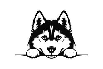 Husky dog vector illustration with a black and white color scheme