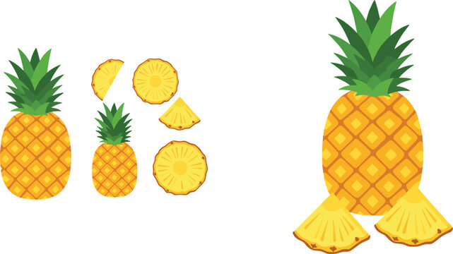 Pineapple fruit collection vector set with whole and sliced tropical illustrations