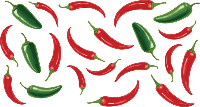 Red and green chili pepper collection vector illustration with spicy jalapeno and hot pepper set