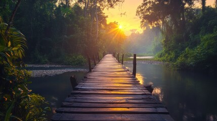 Wooden bridge through a serene tropical sunrise forest