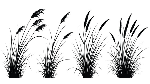 Black silhouettes of different types of tall grass and reeds arranged in a row against a plain white background.