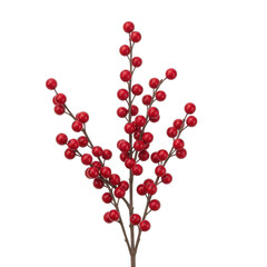 Obraz premium A vibrant branch of red berries isolated on transparent background