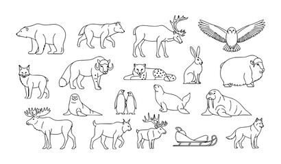 Minimal Snow Wild Animals Contour Line Art Vector Collection in Scandinavian Style © MdIbrahimIslam