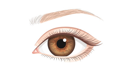 Realistic illustration of a human eye with brown iris and eyebrow