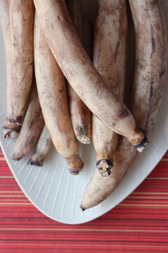 Whole farm fresh Lotus root, also known as renkon, nandru is the edible rhizome of the sacred lotus plant, Nelumbo nucifera, traditional Asian cooking ingredient