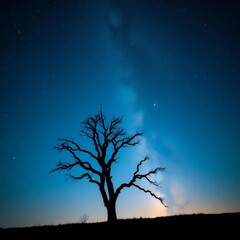 Silhouette of a lone, ancient tree against a starry night sky,  cosmic,  silhouette
