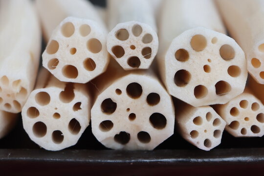 Sliced Lotus Roots, highlights its unique symmetrical air canals