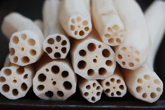 Sliced Lotus Roots, highlights its unique symmetrical air canals