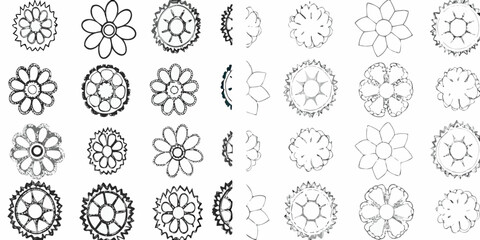 Collection of delicate floral sketches and botanical line drawings