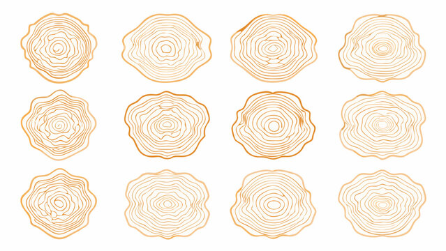 Collection of abstract orange circular designs resembling tree rings