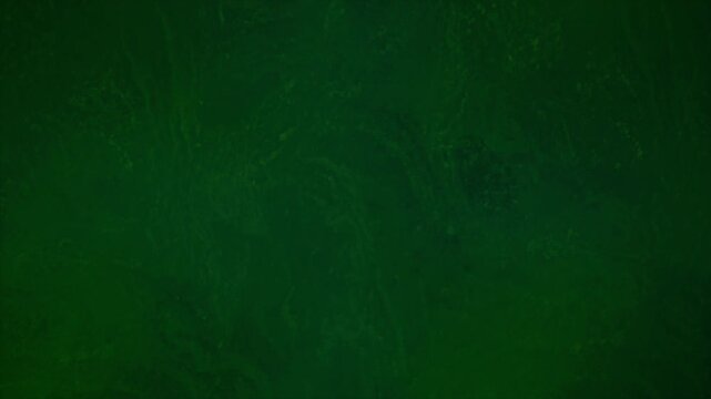 Water Surface Effect Backround 1