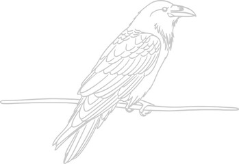 Fototapeta premium A simple line drawing of a crow perched on a wire