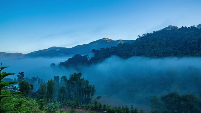 A cinematic time lapse of a misty mountain forest at dawn, where soft fog drifts through lush pine trees as morning light gradually reveals rolling green hills, creating a calm and atmospheric scene