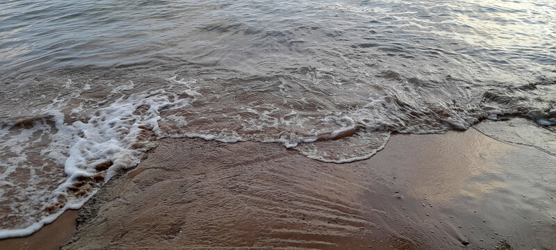 whispers of a quiet tide rewriting the shore&rsquo;s forgotten script