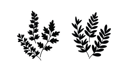 Black foliage arrangements depicting fern like plants a striking silhouette © Hiron