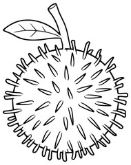 Obraz premium Durian Fruit Illustration: A detailed outline of a durian fruit, capturing the iconic spiky exterior and distinct shape, a bold representation of nature's unique bounty.