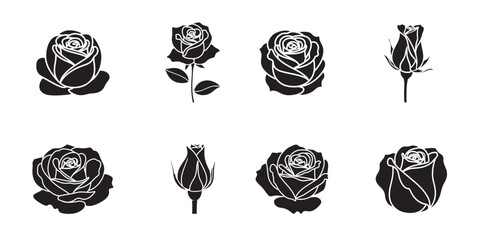 Black and white roses in various stages of bloom Vector
