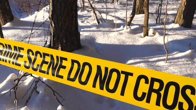 Yellow caution ribbon spans a bright winter woodland as drifting flakes and long shadows define the restricted area.