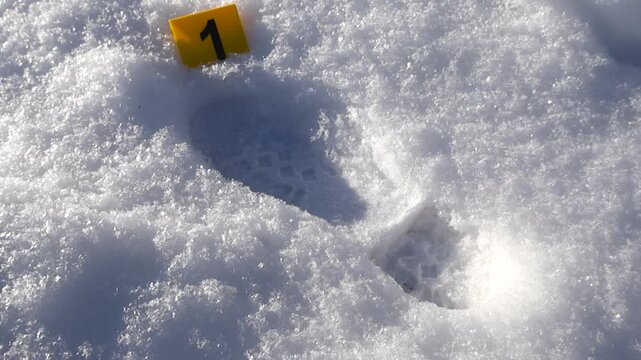 Numbered marker highlights a deep footprint as bright winter light reveals crisp crystalline texture.