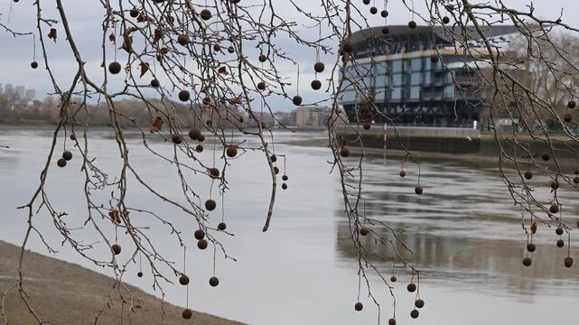 The receding waters of the Thames reveal the rocky foreshore alongside the historic brick facade of Craven Cottage football ground in southwest London