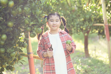 Children playing in an orange grove in a park on holiday.