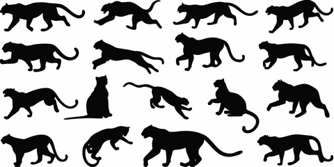 Collection of black silhouettes depicting various tiger poses and actions
