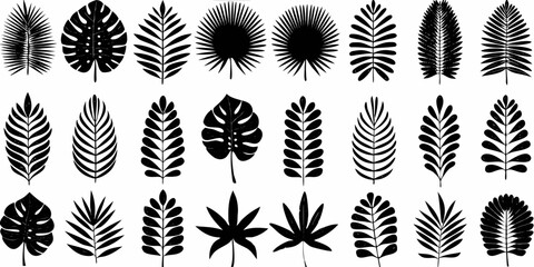 Collection of diverse tropical leaf silhouettes in black and white © Roni