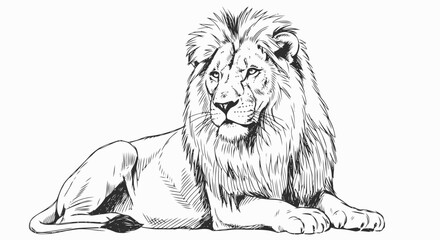 Lion Illustration with Majestic Mane Detail.