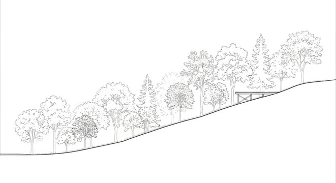 Architectural Line Art Elevation of a Sloping Hillside with Various Tree Species Outlines