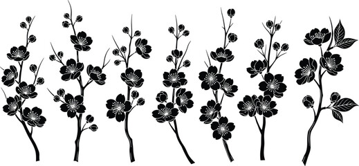 Black silhouette cherry blossom branches set, Japanese sakura floral collection, spring flower twigs with buds and petals isolated on white background. © clickwavebd