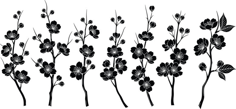 Black silhouette cherry blossom branches set, Japanese sakura floral collection, spring flower twigs with buds and petals isolated on white background.