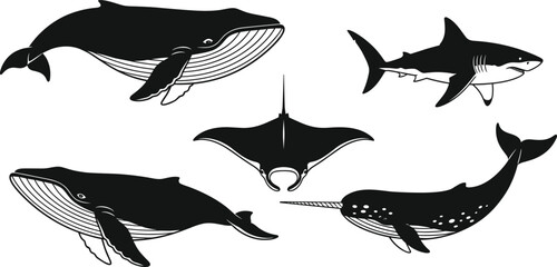 Black and white vector illustration set of marine animals including humpback whale, great white shark, manta ray, and narwhal silhouette. © clickwavebd