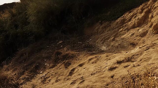 Arid hillside featuring dry soil, rough terrain with visible footprints, and sparse, drought resistant vegetation under natural sunlight, conveying themes of endurance and environmental conditions