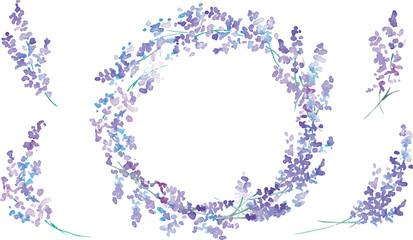 水彩画。水彩タッチのラベンダーベクターイラスト。ラベンダーの春植物背景。Watercolor painting. Watercolor lavender vector illustration. Lavender spring plant background.